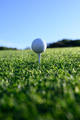 Golf ball in an white tee