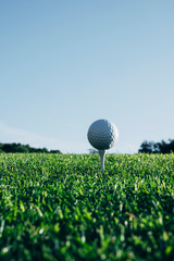 Golf ball in an white tee