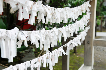 境内のおみくじ