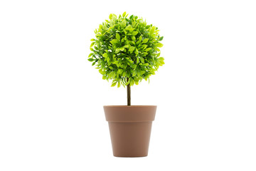 Artificial tree in pot isolated in white background. Concept image for interior design.