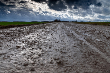 Wet gravel road after rain.