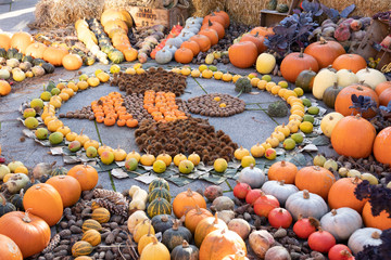beautiful autumngarden composition with pumpkins. autumn cozy still life. pumpkins, autumn leaves. fall season, thanksgiving holiday, Halloween concept.
