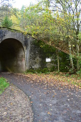herbstlicher Waldweg mit Tunnel
