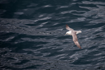 Färöer - Inseln im Atlantik