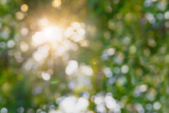 Abstract blurred natural background with sun spots.