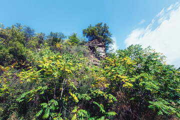 Vegetation next to the Poqueira river
