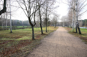 Photo of the river, water pier. Autumn park on the shore. Image of nature, forest, landscape.