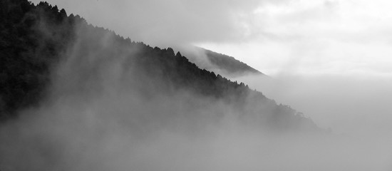 fog in mountains - 298825162