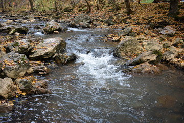 Autumn landscape in the forest in the mountains