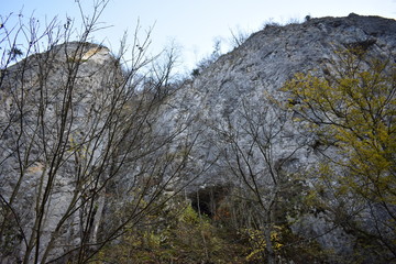 Autumn landscape in the forest in the mountains