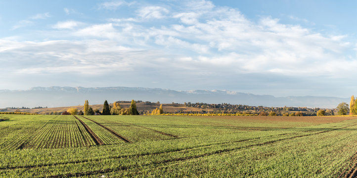 Champs &agrave; Perly Certoux en Suisse durant l'automne