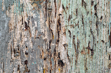 Grunge weathered wooden plank surface.