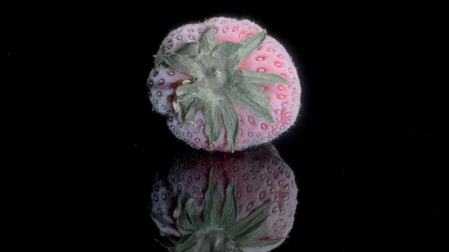 One fresh frozen strawberry on black glass with reflection. Black background, Rotation 360 degrees, Close-up