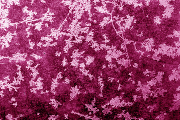 Abstract frost pattern on glass in pink tone.