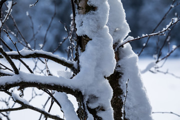 Winterwunderland