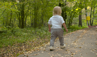 Fototapeta premium Little boy walking along the road in the park