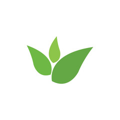 Leaf Logo Template vector symbol