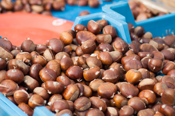 Closeup of fresh chestnuts pile at the market