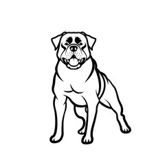 Rottweiler dog - isolated outlined vector illustration
