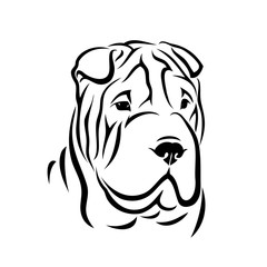 Shar Pei dog - isolated vector illustration