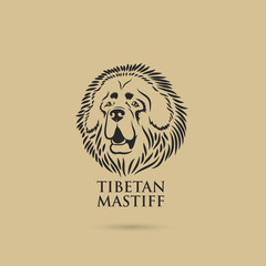 Tibetan Mastiff dog - vector illustration
