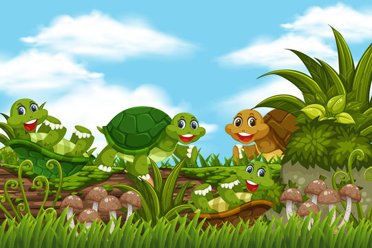 Turtles in jungle scene