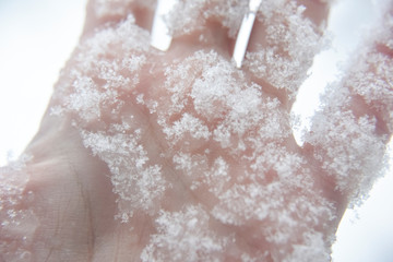Melting snowflakes on humans hand