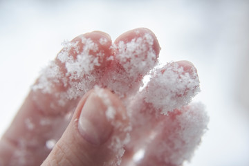 Melting snowflakes on humans hand