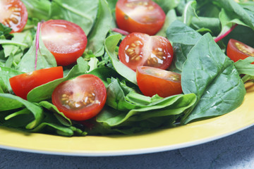 A plate with green salad and cherry tomatoes