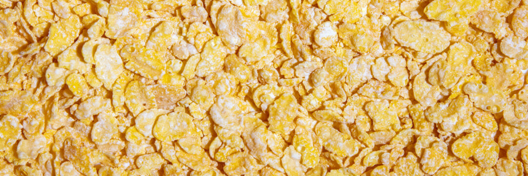 Banner, golden corn flakes background, cornflakes breakfast