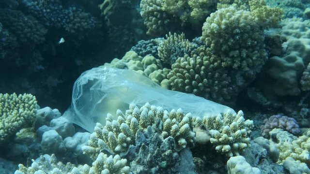 Plastic bag drifting near beautiful coral reef, clings to him is picked up by the wave and floats further, school of tropical fish swims on background blue water. Plastic pollution. 4K/50fps
