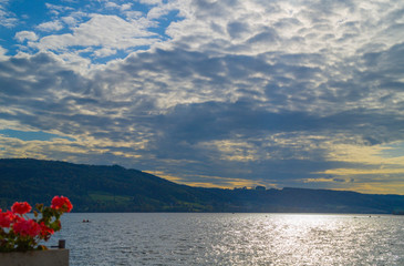 Sport rower on Lake Constance on a beautiful afternoon at the beginning of autumn in the back light.