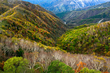 秋の絶景が続く山の道