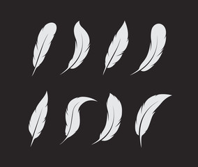 Fototapeta premium Vector group of white feather on black background. Easy editable layered vector illustration.