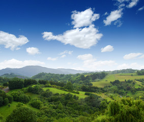  grassy field and hills