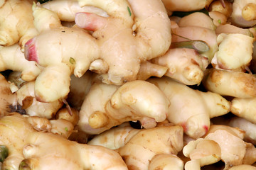 Ginger Roots, Zingiber officinale is marketed