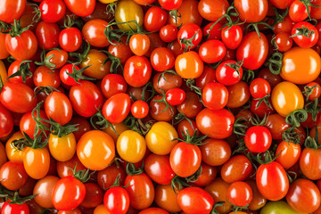 Fresh organic cherry tomatoes as background, closeup