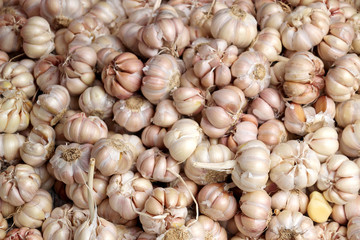 White garlic heads for sale on a market