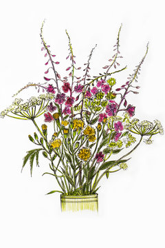 Flower arrangement of field and meadow flowers on a white background isolated.
