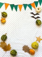 autumn halloween pumpkins, white background