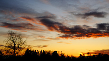 Obraz premium Sunrise over trees, Drobak, Norway
