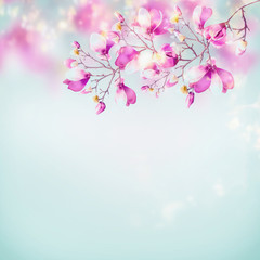 Plakat Spring nature background with beautiful magnolia blooming branches at light blue sky background with sunlight bokeh frame. Pink spring blossom of nature
