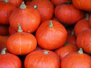 Fresh vegetables on the market