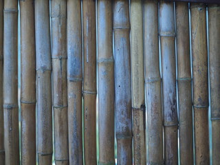 Close-up of bamboo wall pictures