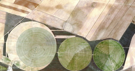 Litter,Abstract photography of Spanish fields from the air, Cubist composition of human labor...