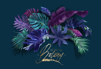 Vector frame banner with color tropical leaves
