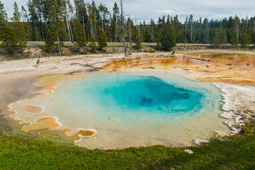 Geothermal pool in Yellowstone national park
