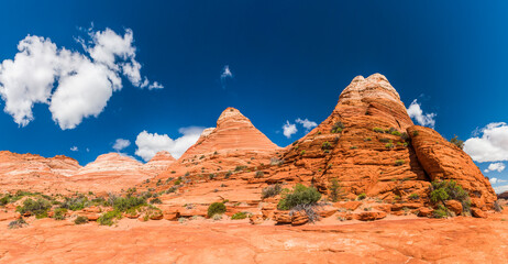 Fototapeta premium Coyote Buttes sandstone formations in Utah