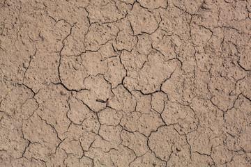 dry cracked ground