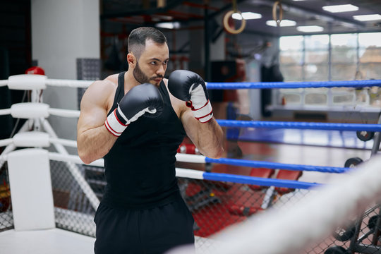 young boxer training alone on the ring. close up photo. copy space. martial art, man with raised arms waiting for his opponent stike